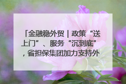 金融稳外贸｜政策“送上门”、服务“沉到底”，省担保集团加力支持外经贸高质量发展
