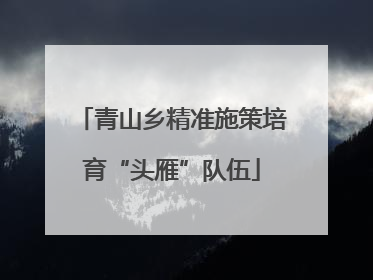 青山乡精准施策培育“头雁”队伍