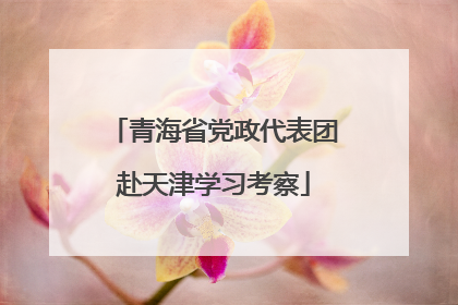 青海省党政代表团赴天津学习考察