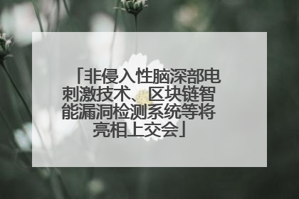 非侵入性脑深部电刺激技术、区块链智能漏洞检测系统等将亮相上交会