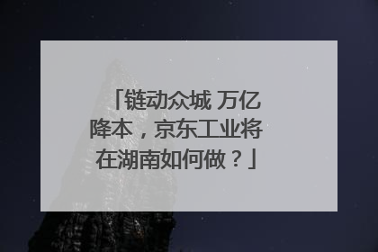 链动众城 万亿降本，京东工业将在湖南如何做？