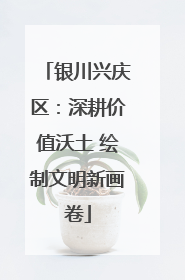 银川兴庆区：深耕价值沃土 绘制文明新画卷