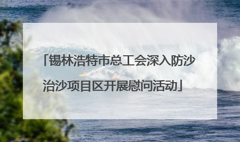 锡林浩特市总工会深入防沙治沙项目区开展慰问活动