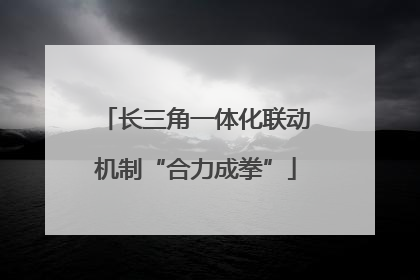 长三角一体化联动机制“合力成拳”