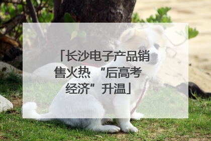 长沙电子产品销售火热 “后高考经济”升温