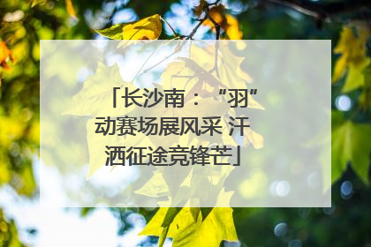 长沙南：“羽”动赛场展风采 汗洒征途竞锋芒
