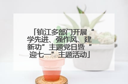 镇江多部门开展“学先进、强作风、建新功”主题党日暨“迎七一”主题活动