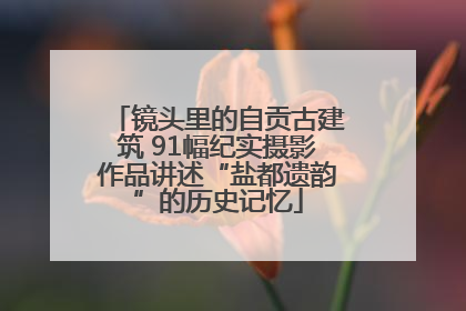镜头里的自贡古建筑 91幅纪实摄影作品讲述“盐都遗韵”的历史记忆