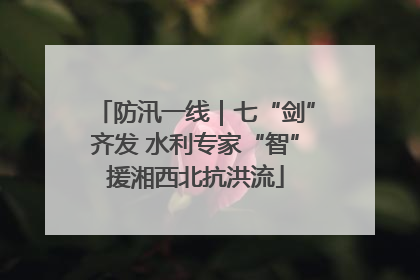 防汛一线｜七“剑”齐发 水利专家“智”援湘西北抗洪流