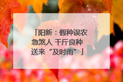 阳新：假种误农急煞人 千斤良种送来“及时雨”