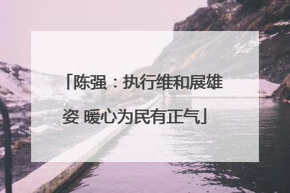 陈强：执行维和展雄姿 暖心为民有正气
