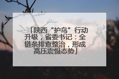 陕西“护鸟”行动升级，省委书记：全链条排查整治，形成高压震慑态势