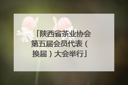 陕西省茶业协会第五届会员代表（换届）大会举行