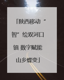 陕西移动“智”绘双河口镇 数字赋能山乡蝶变