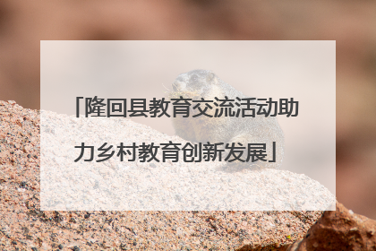 隆回县教育交流活动助力乡村教育创新发展