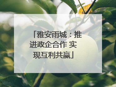 雅安雨城：推进政企合作 实现互利共赢