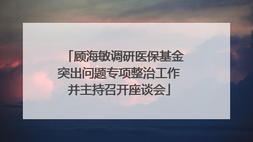 顾海敏调研医保基金突出问题专项整治工作并主持召开座谈会