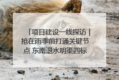 项目建设一线探访｜抢在雨季前打通关键节点 东南退水明渠四标段项目顺利完工
