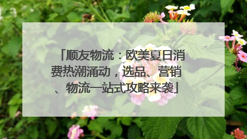 顺友物流：欧美夏日消费热潮涌动，选品、营销、物流一站式攻略来袭