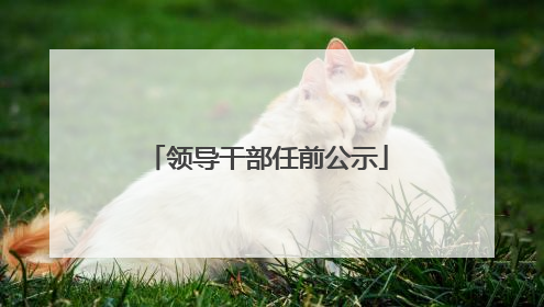 领导干部任前公示