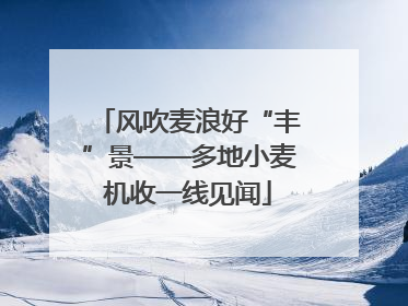 风吹麦浪好“丰”景——多地小麦机收一线见闻