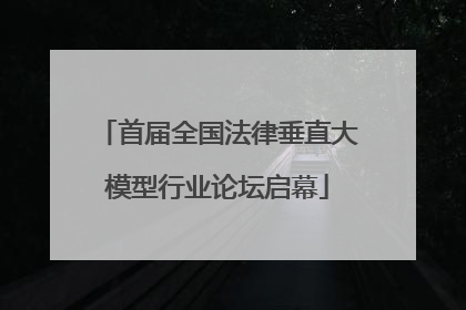 首届全国法律垂直大模型行业论坛启幕