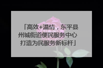 高效+温情，东平县州城街道便民服务中心打造为民服务新标杆