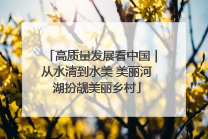 高质量发展看中国｜从水清到水美 美丽河湖扮靓美丽乡村