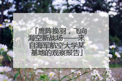 鹰阵换羽，飞向海空新战场——来自海军航空大学某基地的观察报告