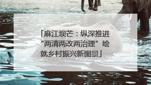 麻江坝芒：纵深推进“两清两改两治理”绘就乡村振兴新图景