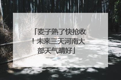 麦子熟了快抢收！未来三天河南大部天气晴好