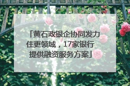 黄石政银企协同发力住更领域，17家银行提供融资服务方案