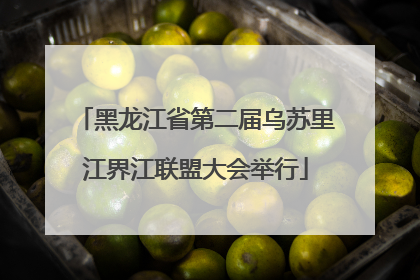 黑龙江省第二届乌苏里江界江联盟大会举行