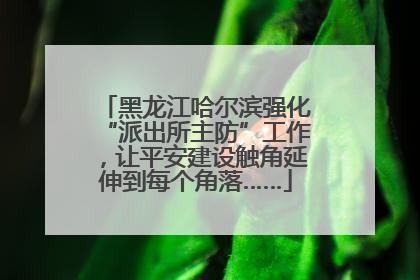 黑龙江哈尔滨强化“派出所主防”工作，让平安建设触角延伸到每个角落……