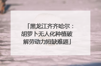 黑龙江齐齐哈尔：胡萝卜无人化种植破解劳动力短缺难题