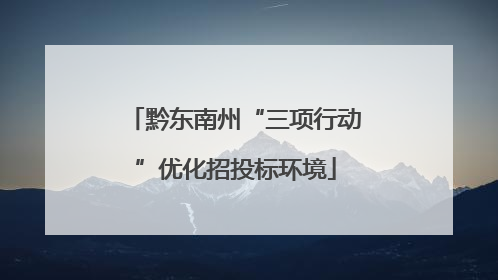 黔东南州“三项行动”优化招投标环境