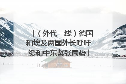 （外代一线）德国和埃及两国外长呼吁缓和中东紧张局势