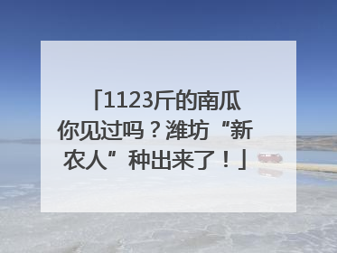 1123斤的南瓜你见过吗？潍坊“新农人”种出来了！