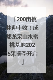 200亩桃林迎丰收！成都龙泉山水蜜桃基地2025采摘季开启
