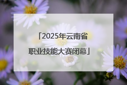 2025年云南省职业技能大赛闭幕