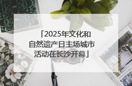 2025年文化和自然遗产日主场城市活动在长沙开幕