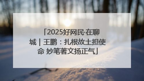 2025好网民·在聊城｜王鹏：扎根故土担使命 妙笔著文扬正气