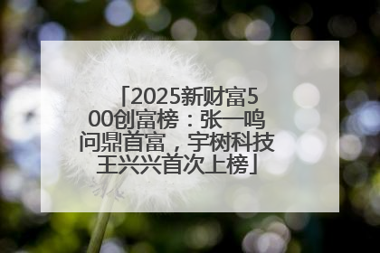 2025新财富500创富榜：张一鸣问鼎首富，宇树科技王兴兴首次上榜