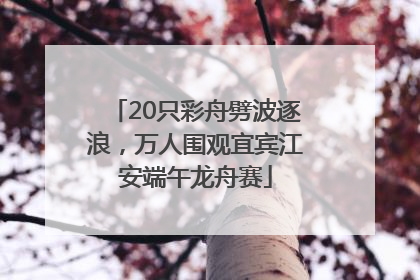 20只彩舟劈波逐浪，万人围观宜宾江安端午龙舟赛