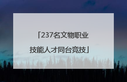 237名文物职业技能人才同台竞技