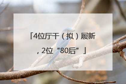 4位厅干（拟）履新，2位“80后”