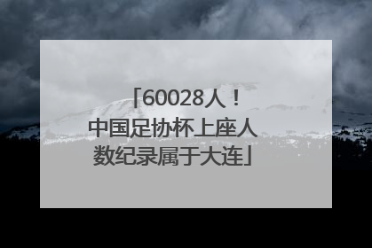 60028人！中国足协杯上座人数纪录属于大连