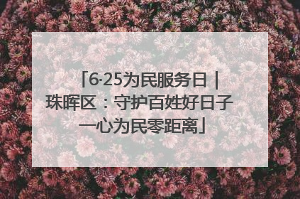 6·25为民服务日｜珠晖区：守护百姓好日子 一心为民零距离