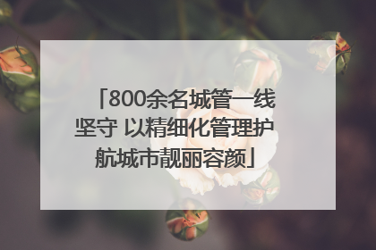 800余名城管一线坚守 以精细化管理护航城市靓丽容颜
