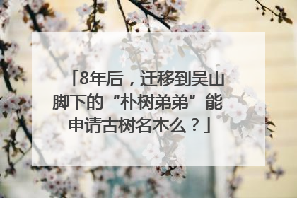 8年后，迁移到吴山脚下的“朴树弟弟”能申请古树名木么？